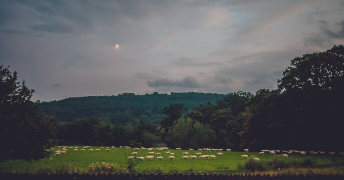 featured article image