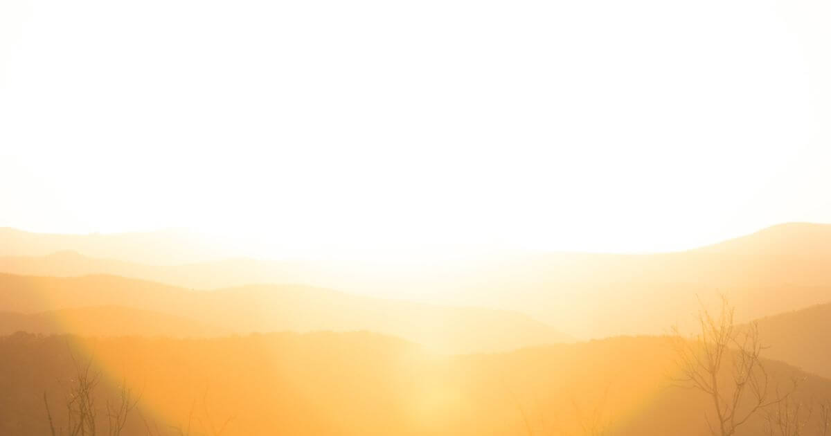 featured article image