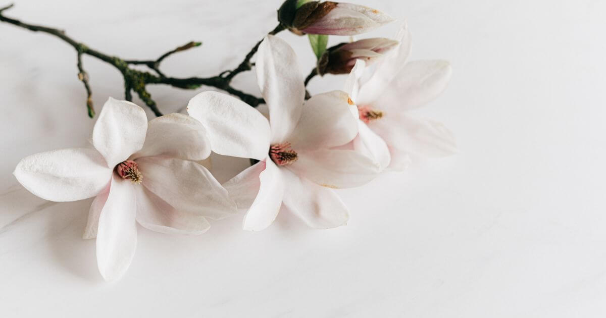 What does it mean that blessed are the pure in heart (Matthew 5:8)?