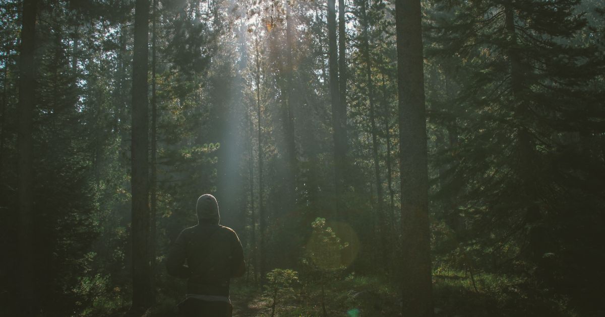 featured article image