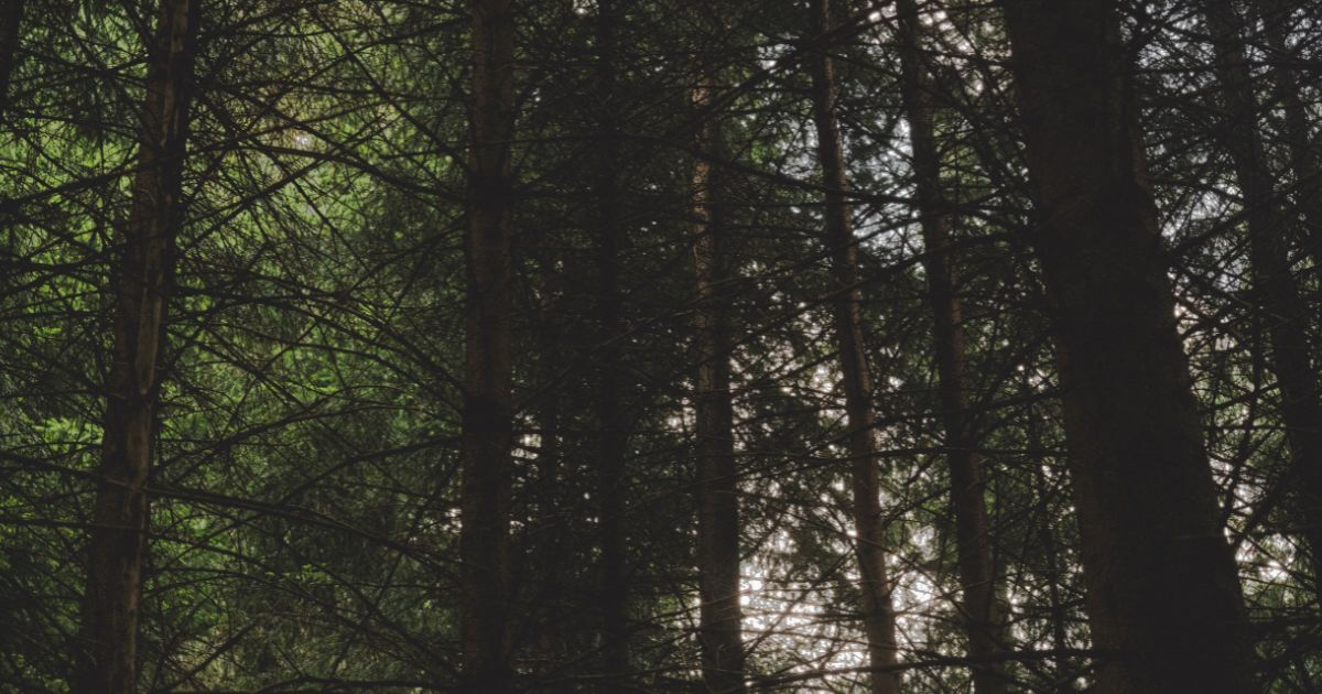 featured article image