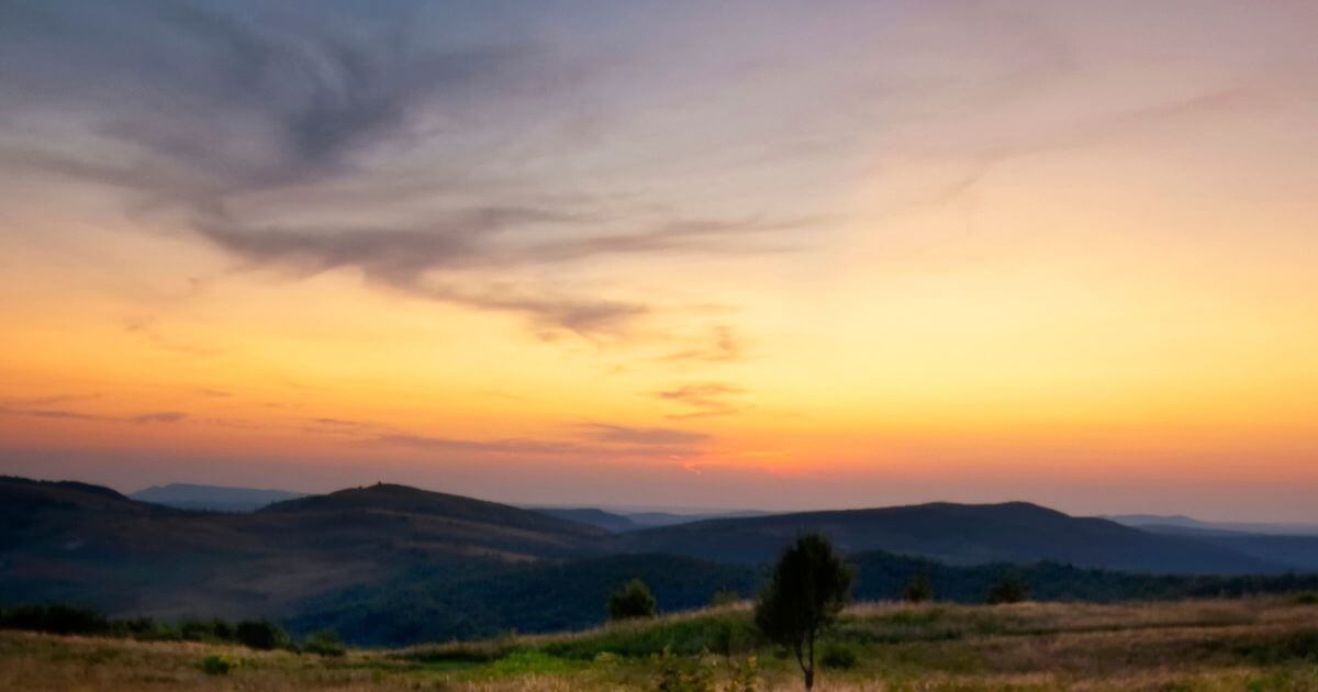 featured article image