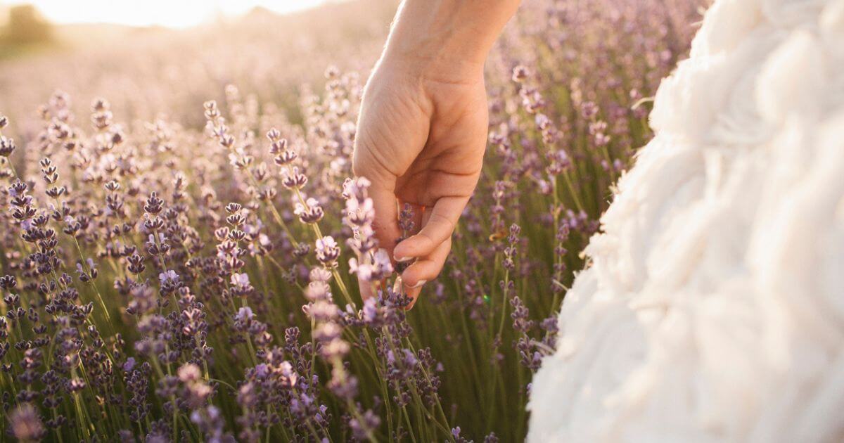 featured article image