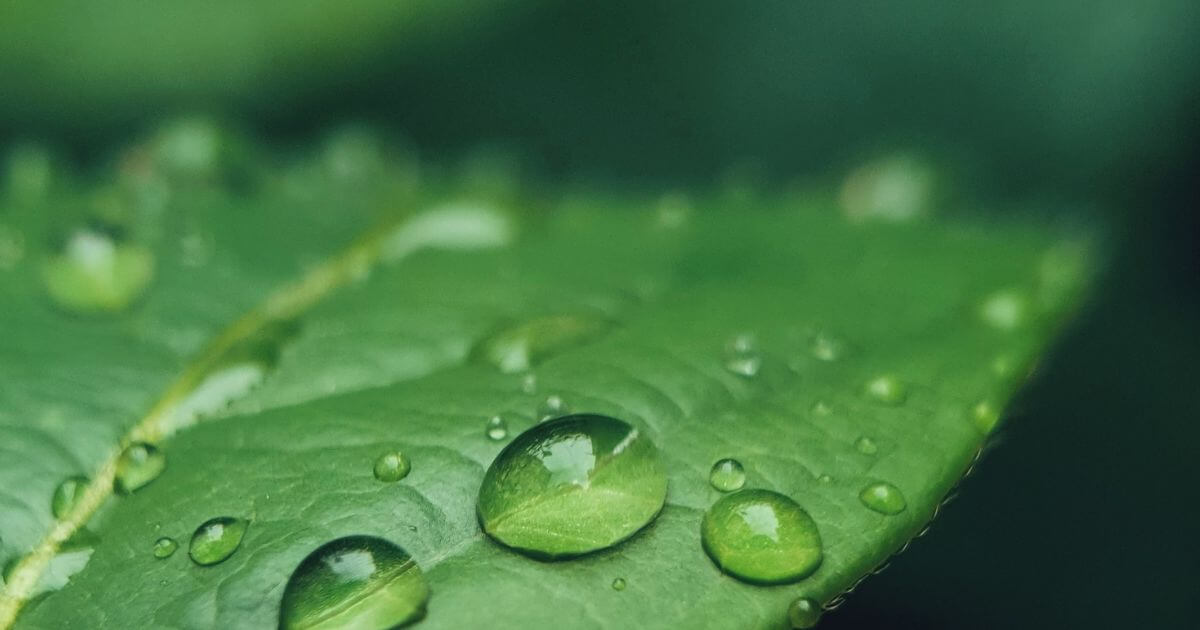 featured article image