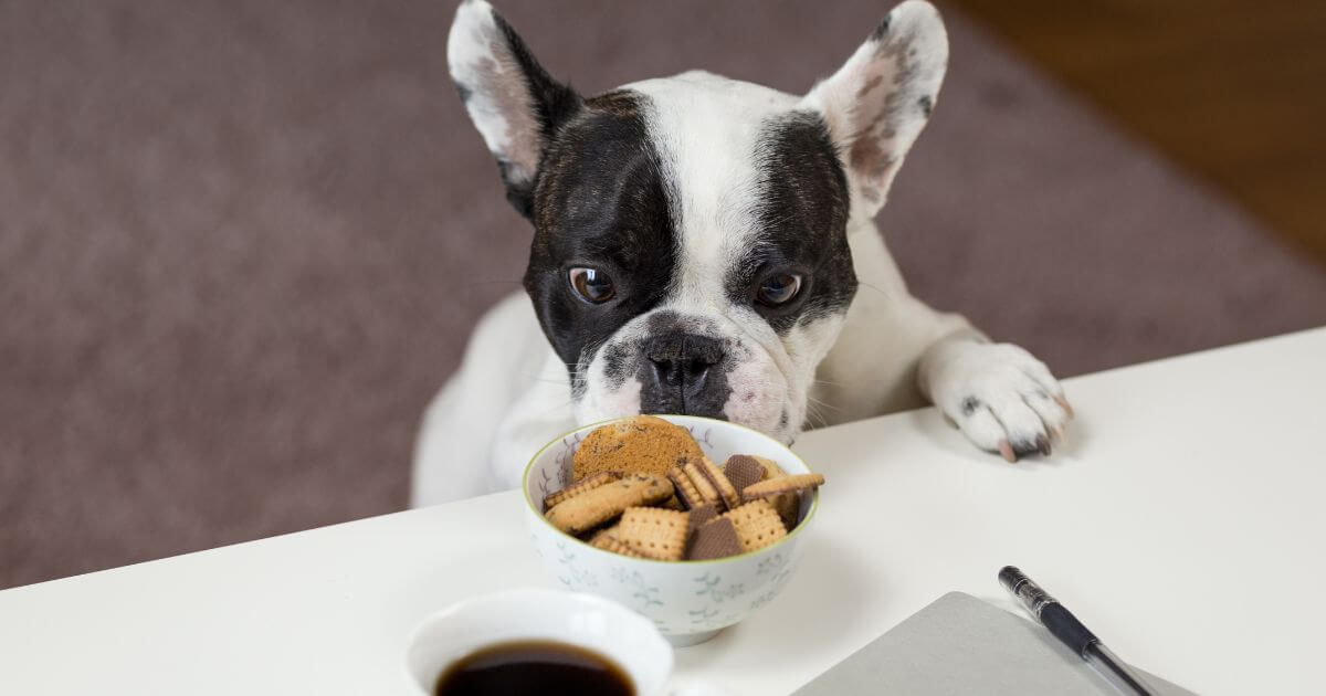 featured article image