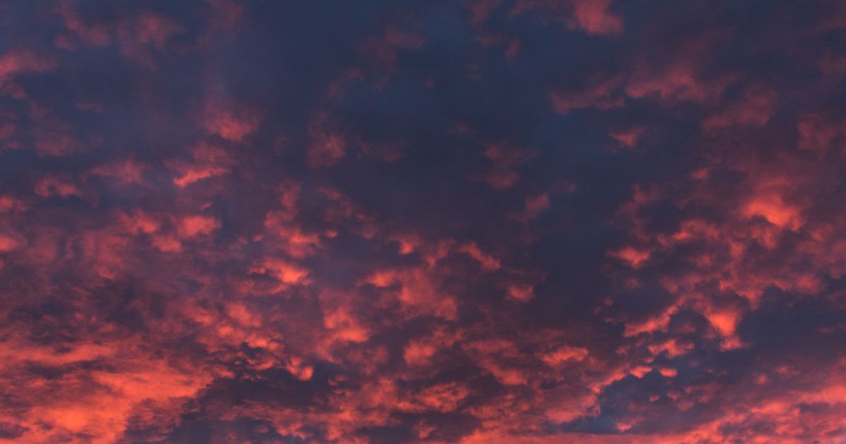 featured article image