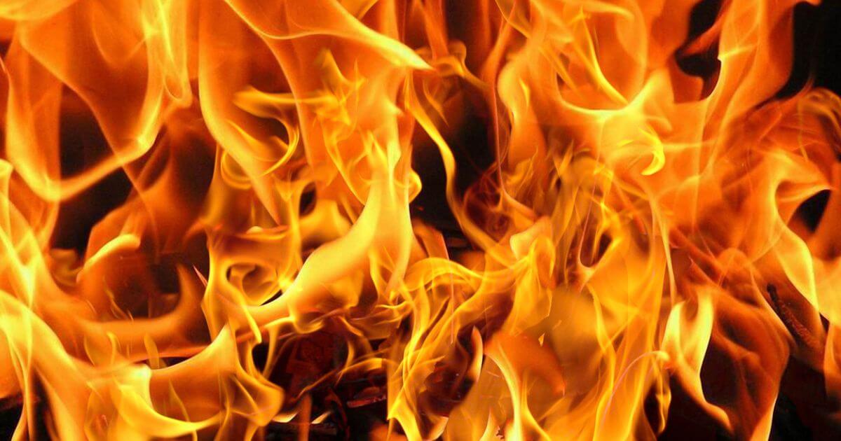 featured article image