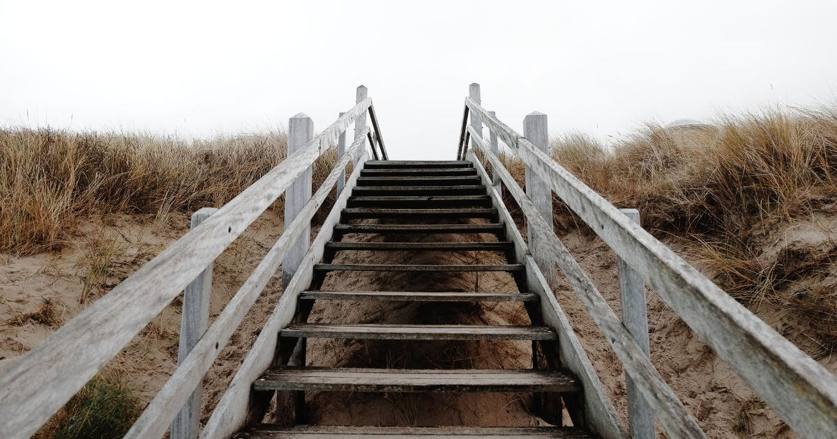 featured article image