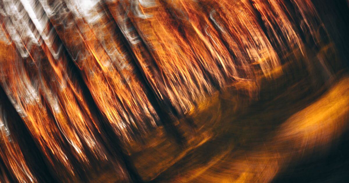 featured article image