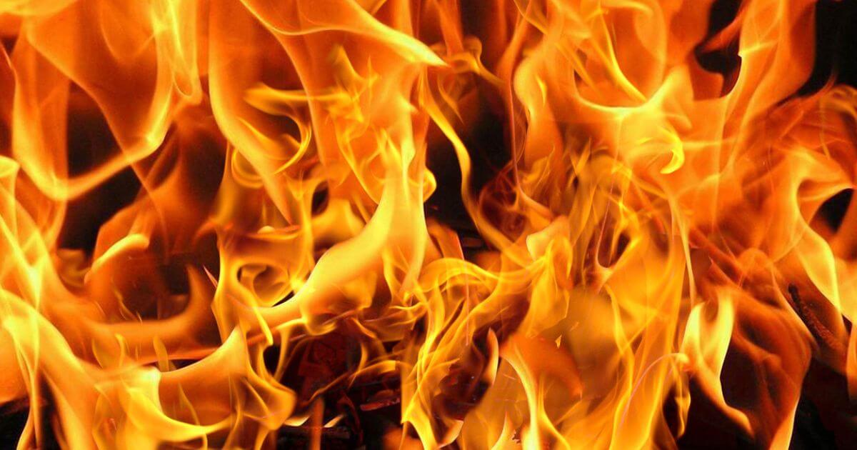 featured article image