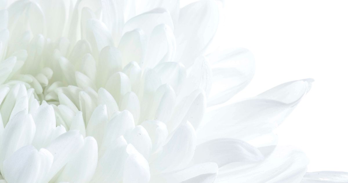 featured article image