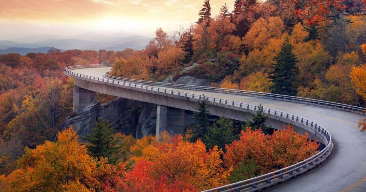 featured article image