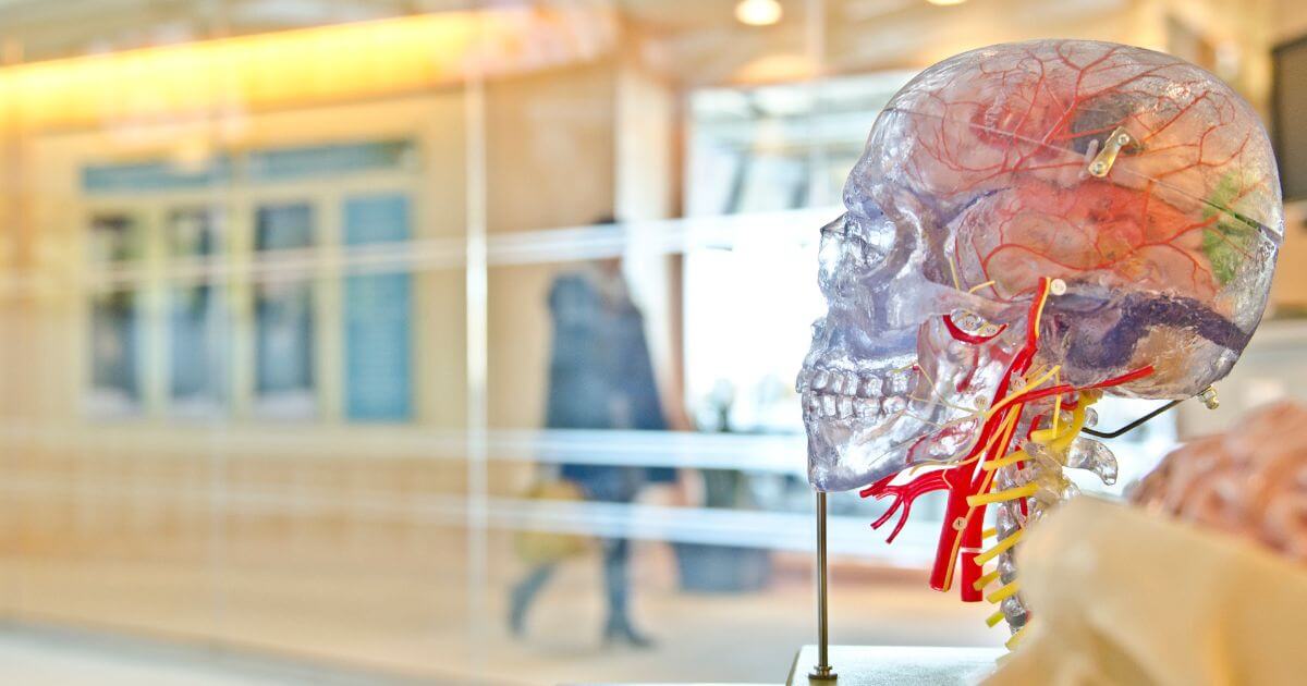 featured article image