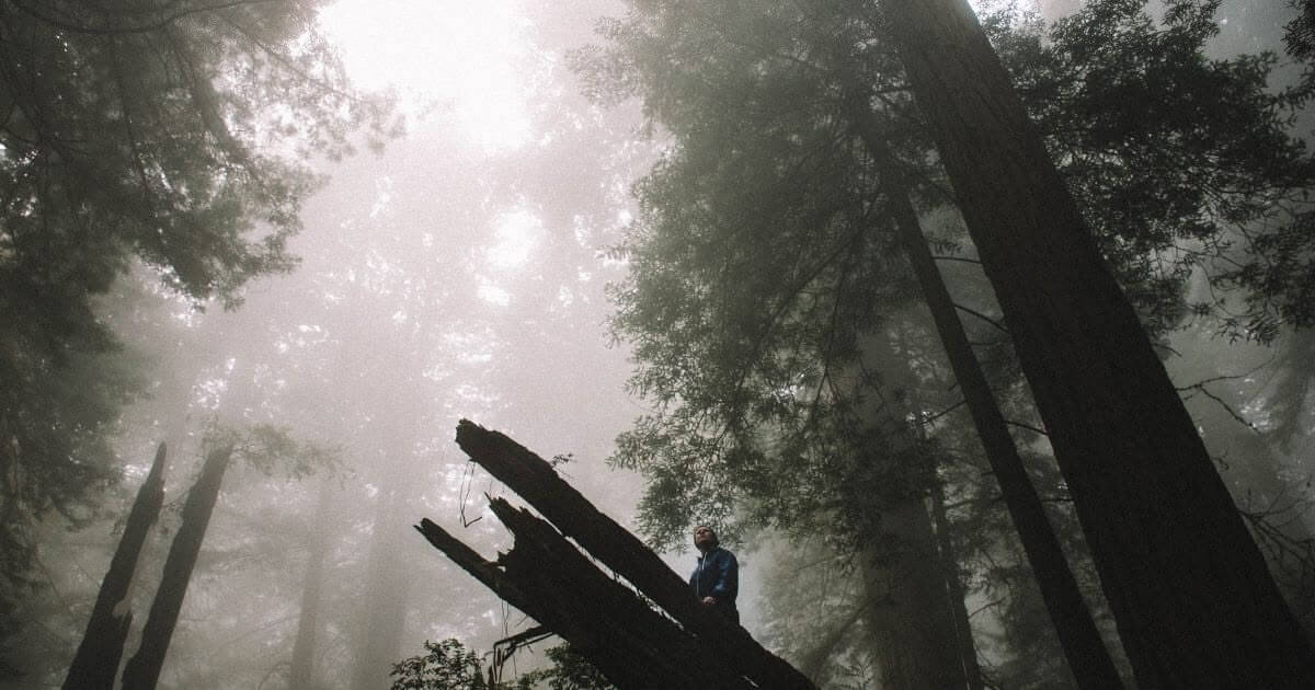 featured article image