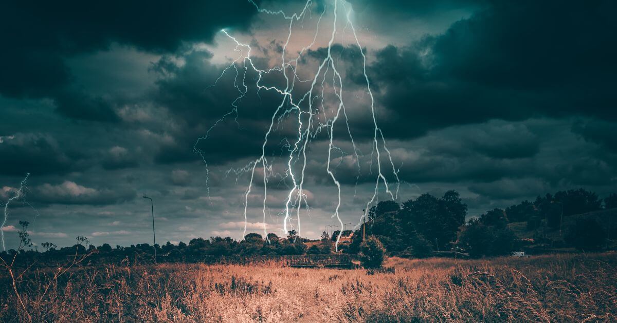 featured article image