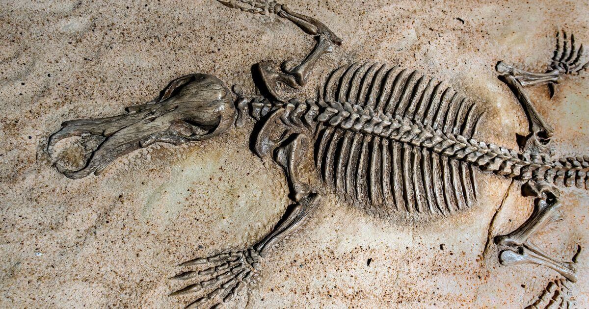 featured article image