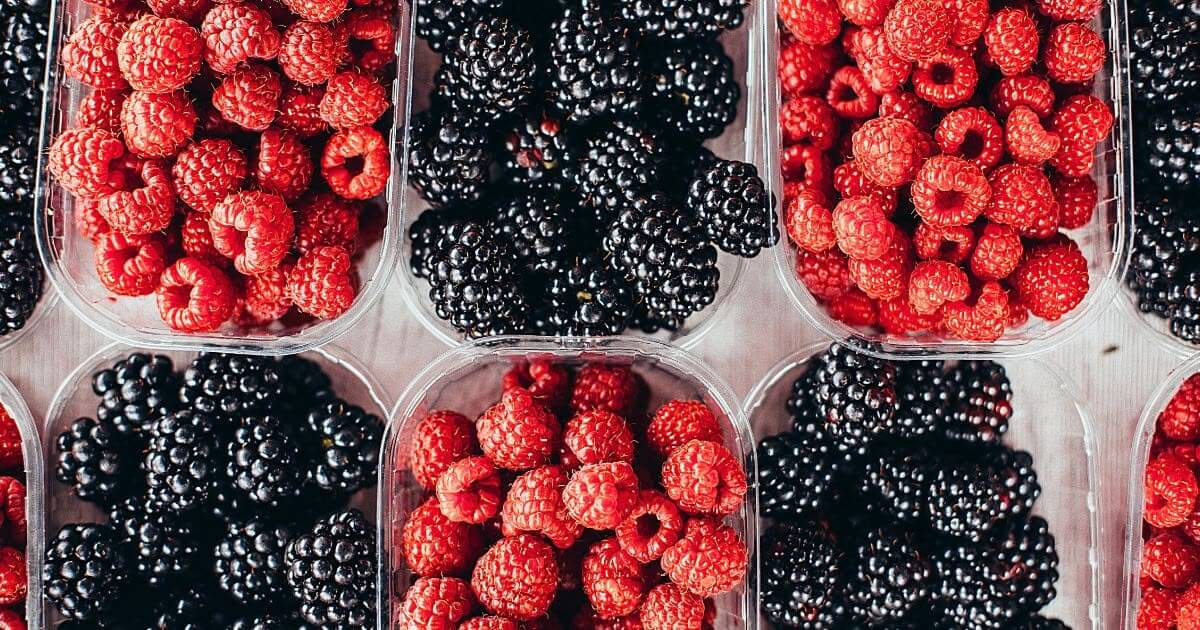 featured article image