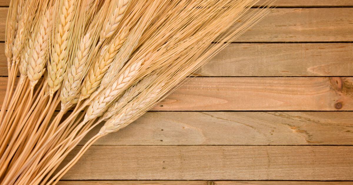 featured article image