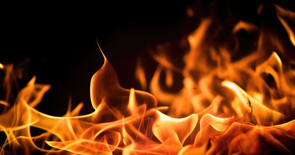 featured article image