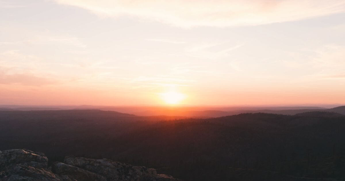 featured article image