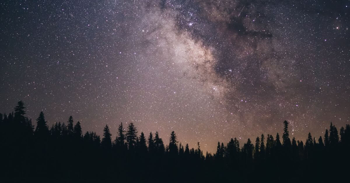 featured article image