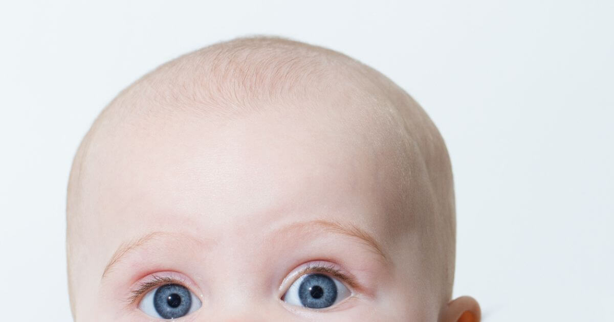 featured article image