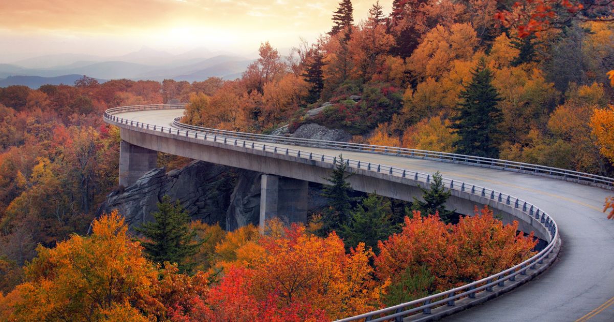 featured article image