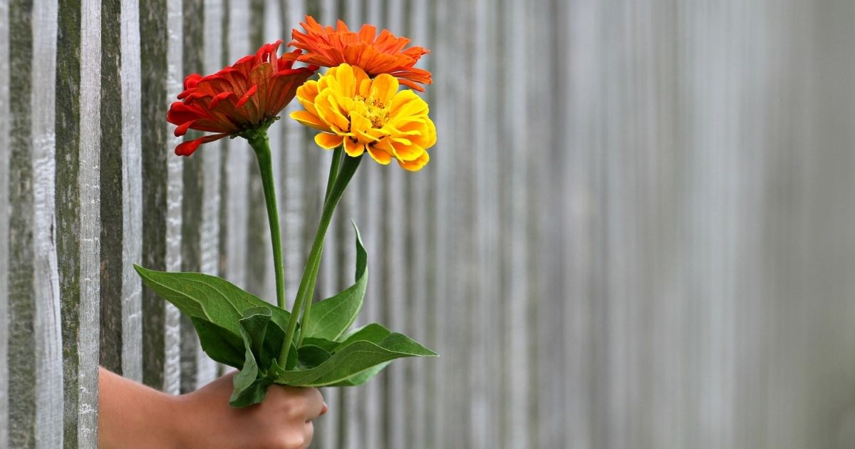 featured article image