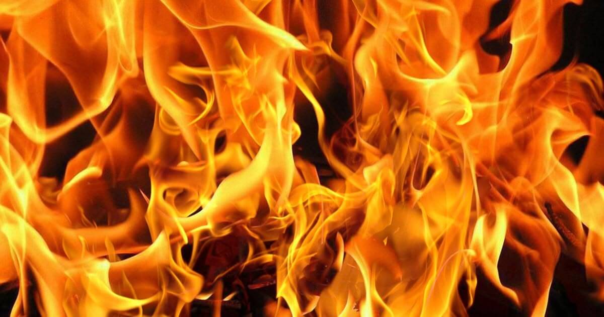 featured article image