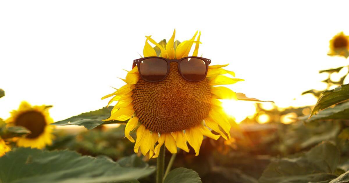 featured article image