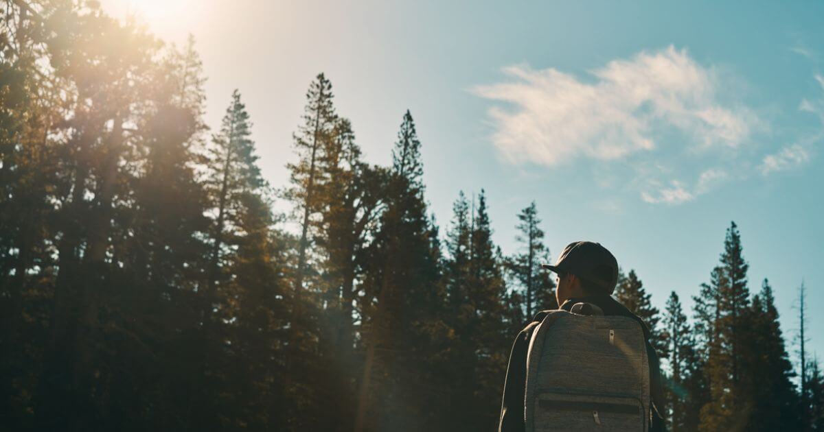 featured article image