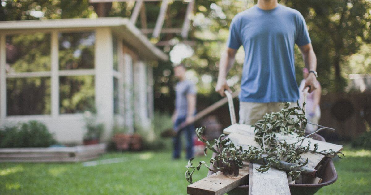 featured article image