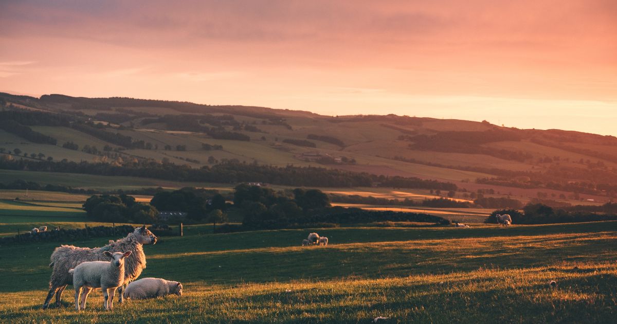 featured article image