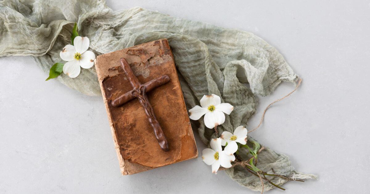 featured article image