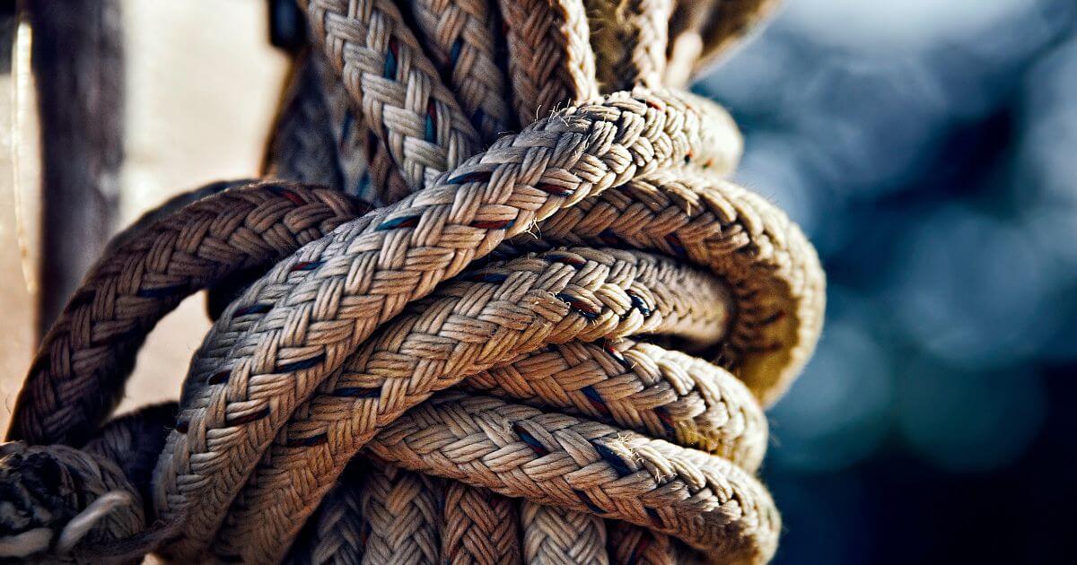 featured article image