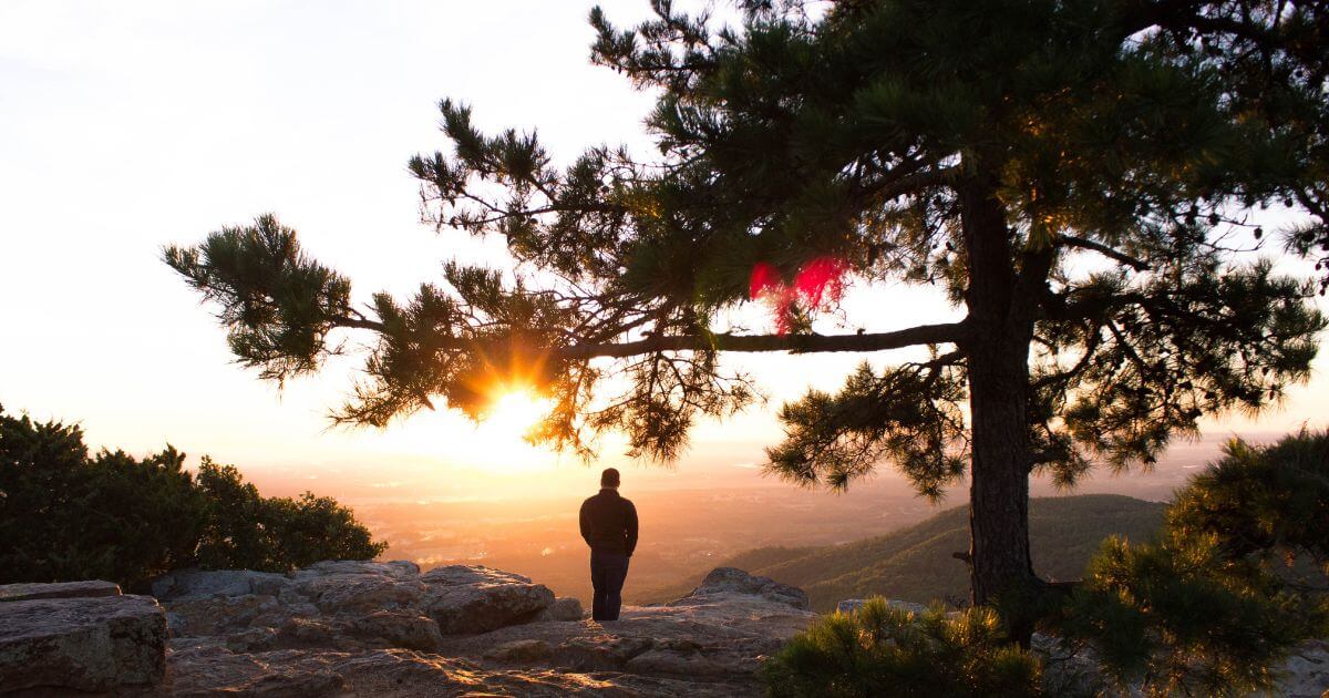 featured article image