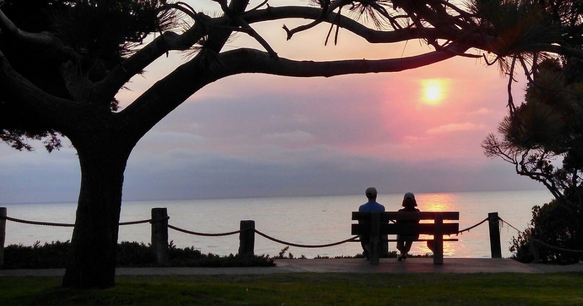 featured article image