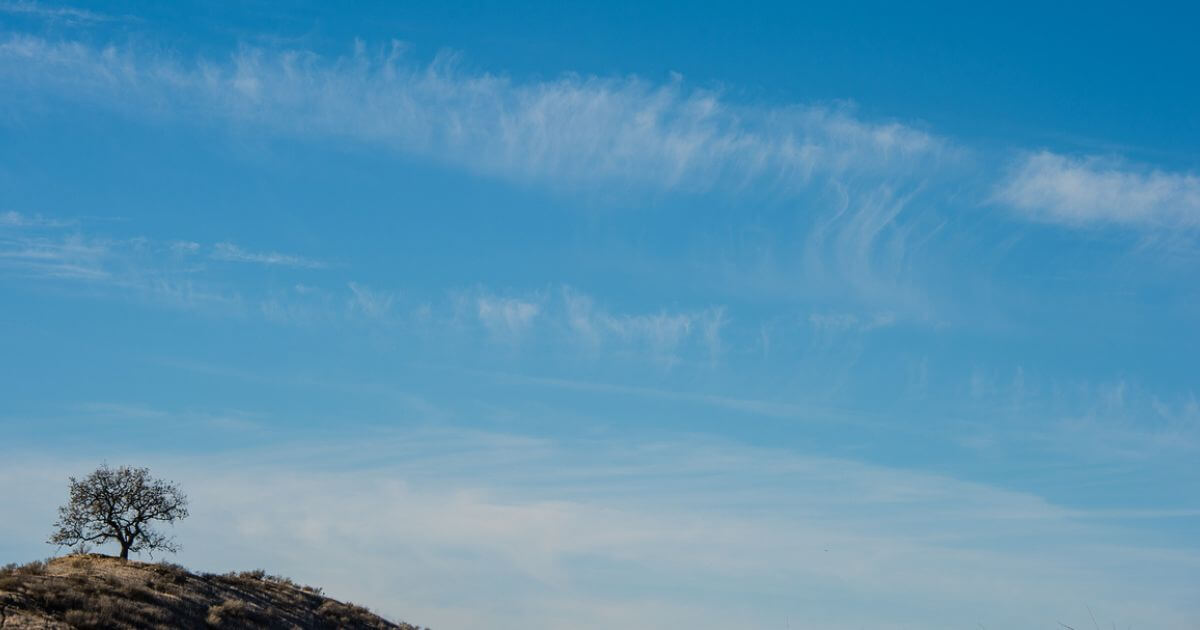 featured article image