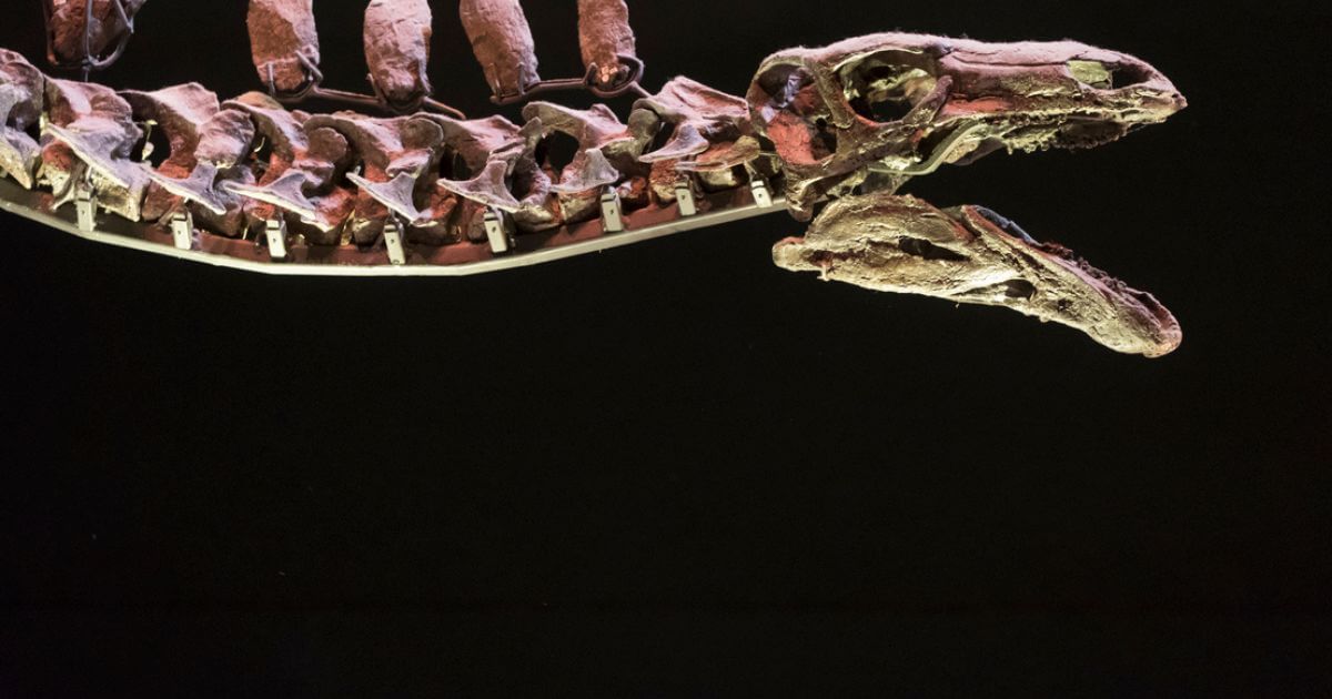 featured article image