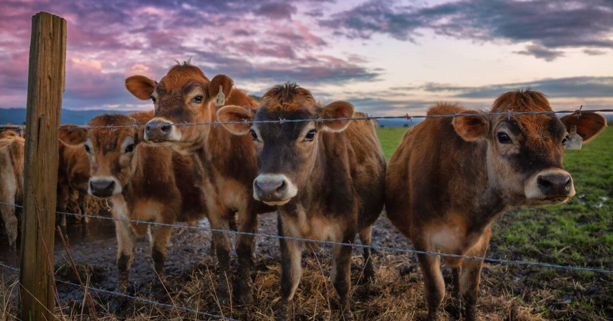 featured article image