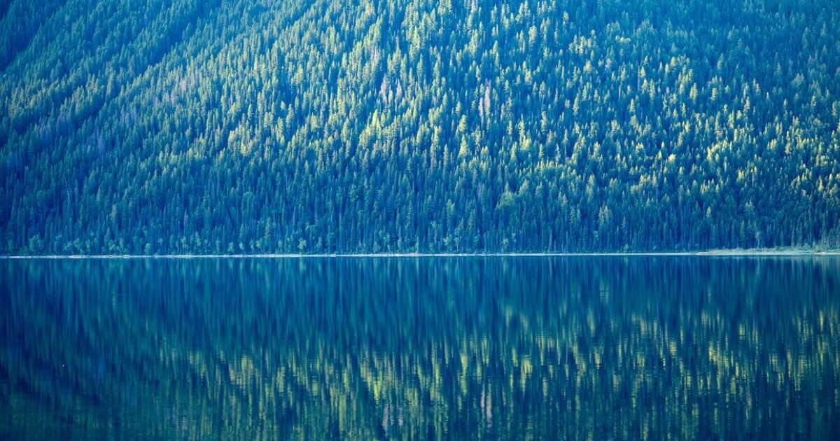 featured article image