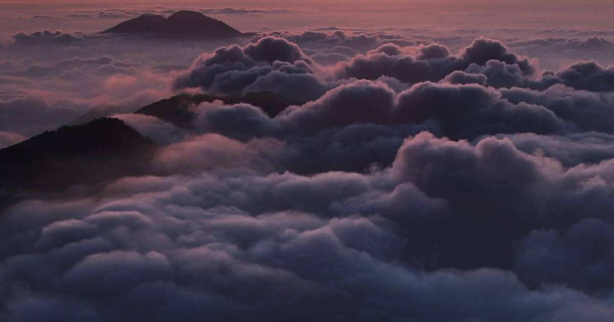 featured article image