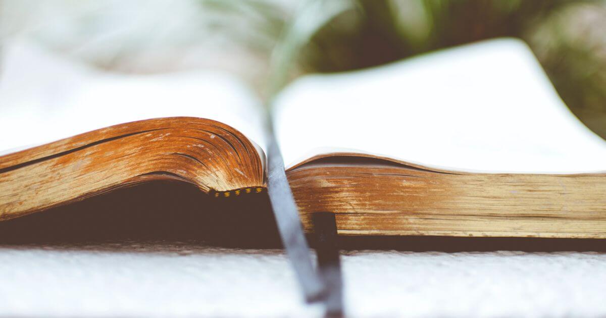 featured article image