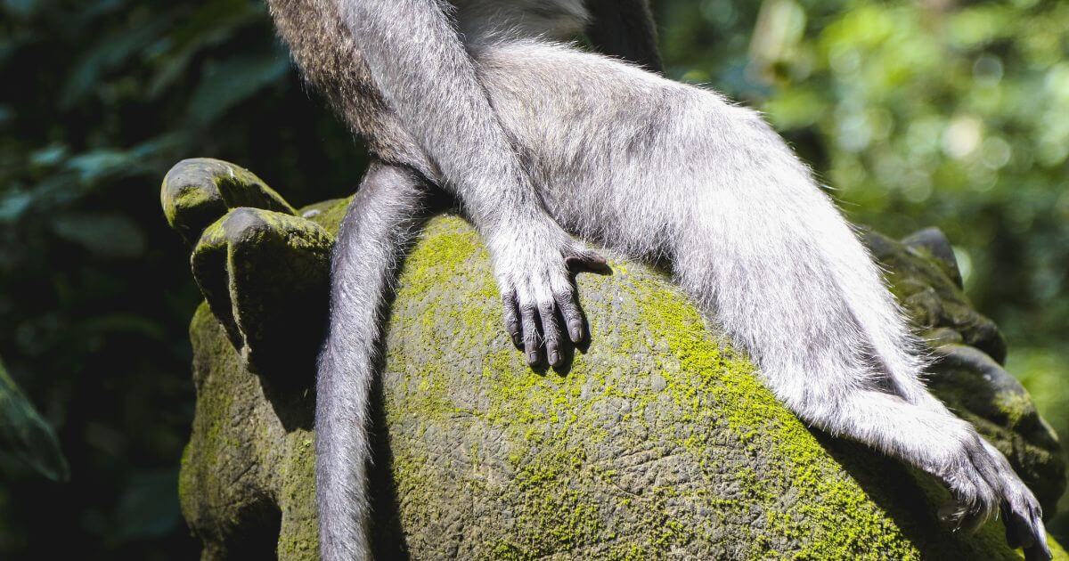 featured article image