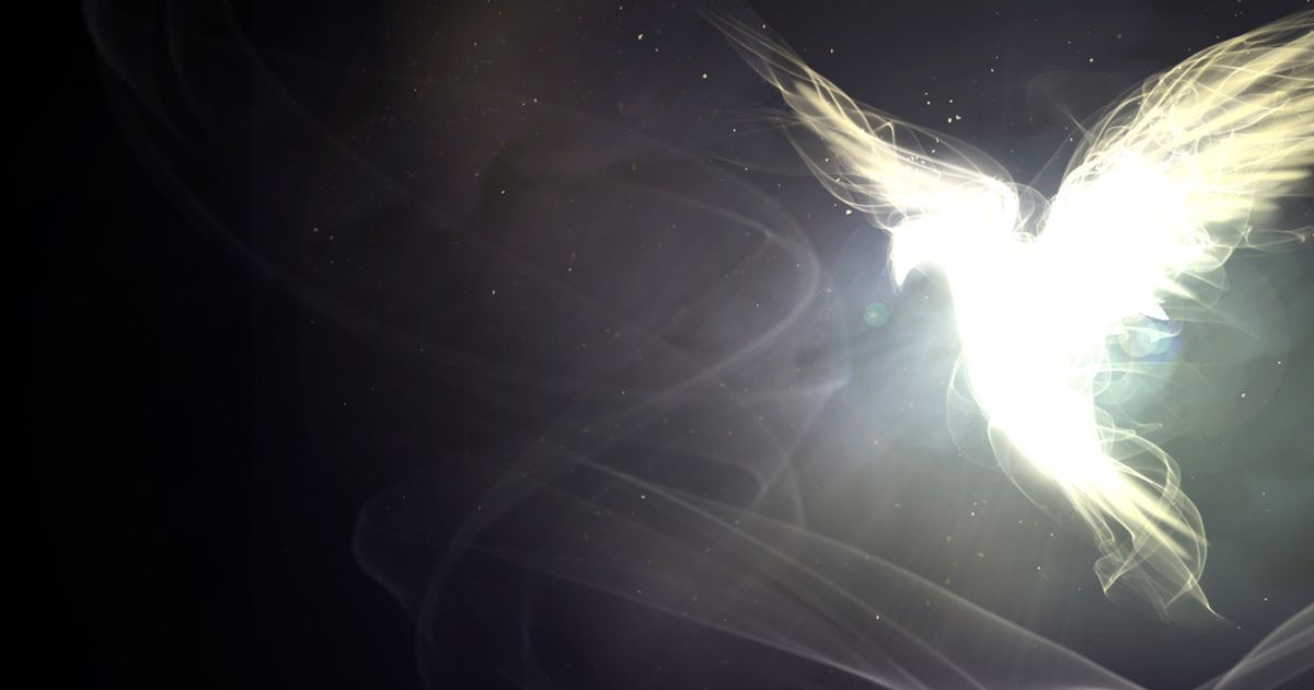 featured article image