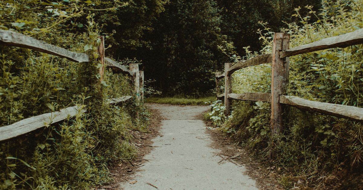 featured article image