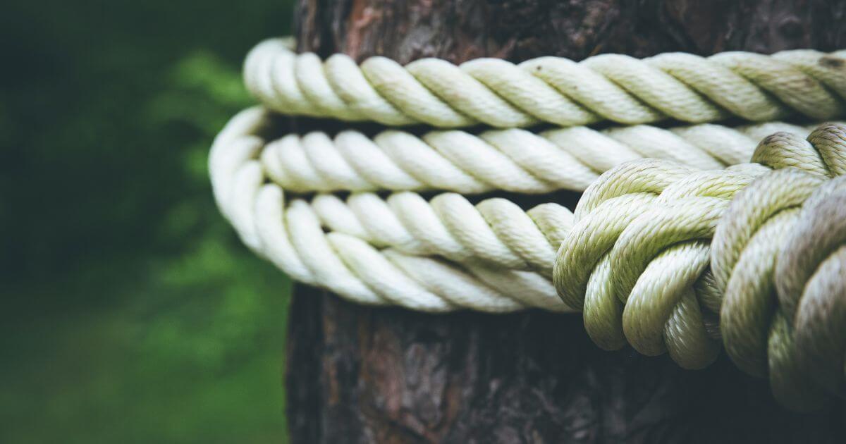 featured article image