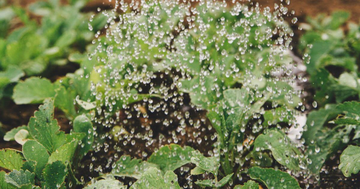 featured article image