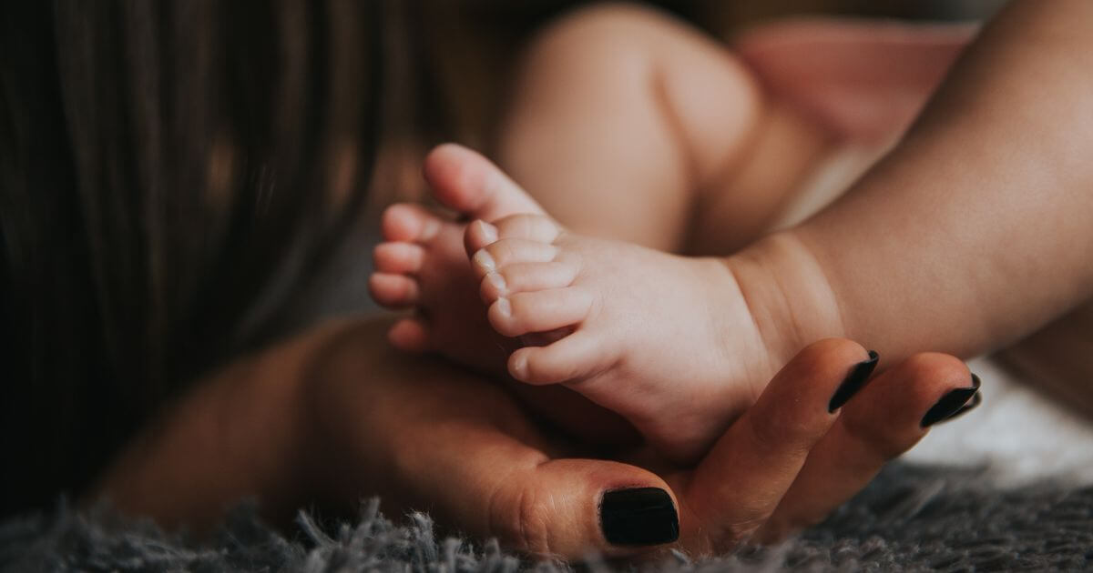 What is the new birth?