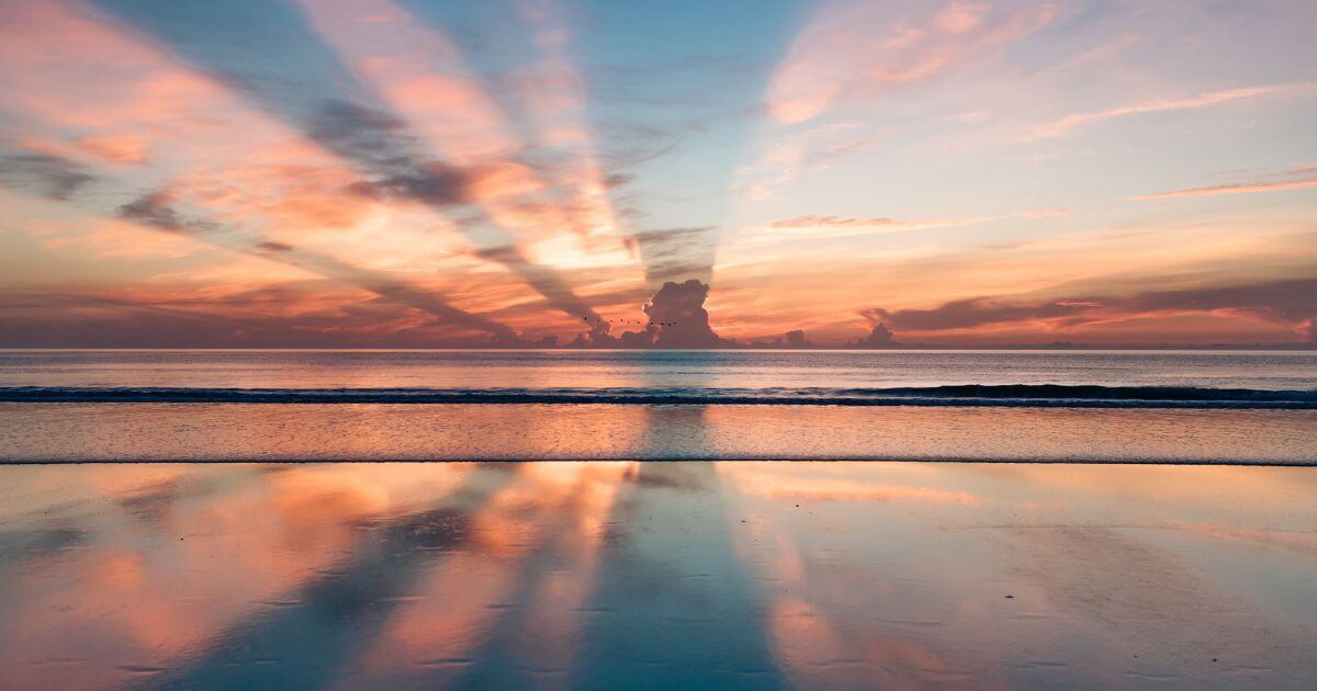 featured article image